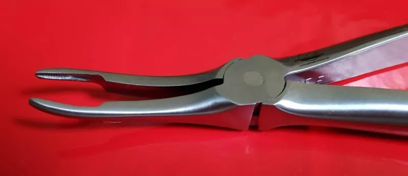Ulvetandstang, slank, 31 cm, nærbillede